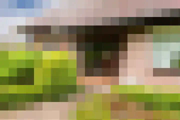 Oosthof 5 Scherpenzeel thumbnail 8