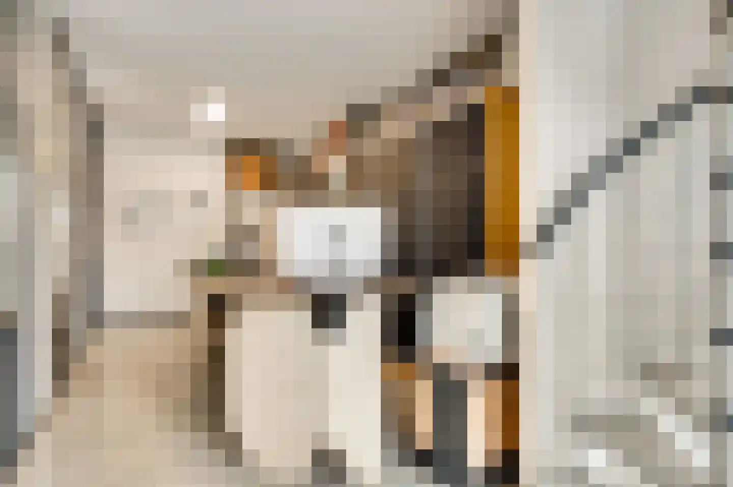 Oosthoven 1 Roermond thumbnail 43