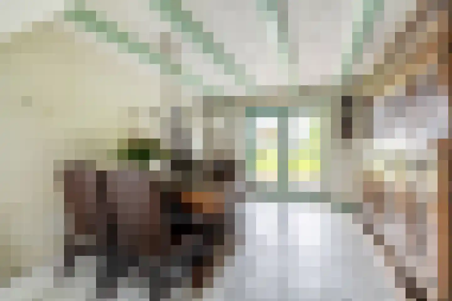 Oosthuizerweg 18 Noordbeemster thumbnail 17