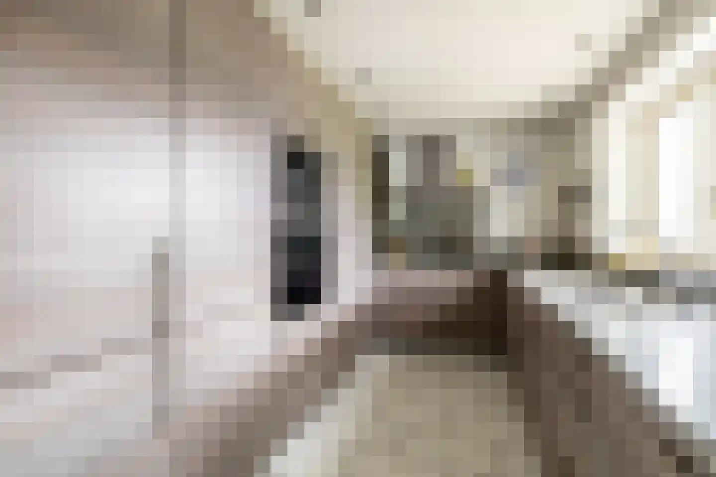 Oosthuizerweg 18 Noordbeemster thumbnail 20
