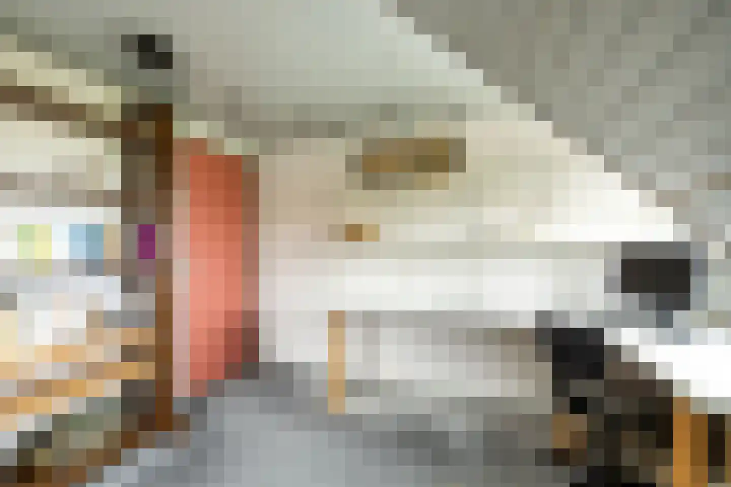 Oosthuizerweg 18 Noordbeemster thumbnail 31