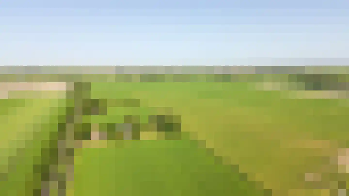 Oosthuizerweg 18 Noordbeemster thumbnail 48
