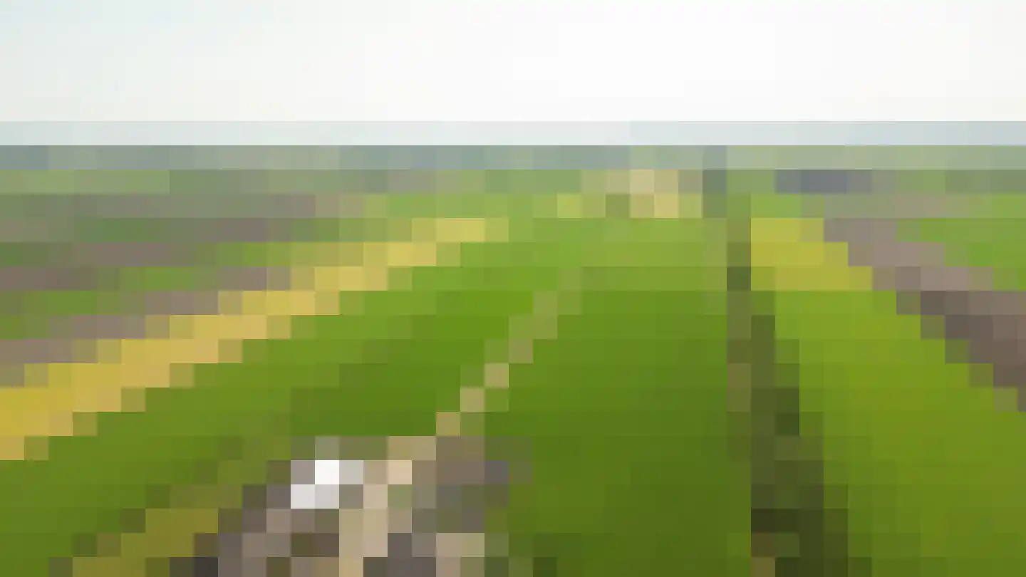Oosthuizerweg 18 Noordbeemster thumbnail 49