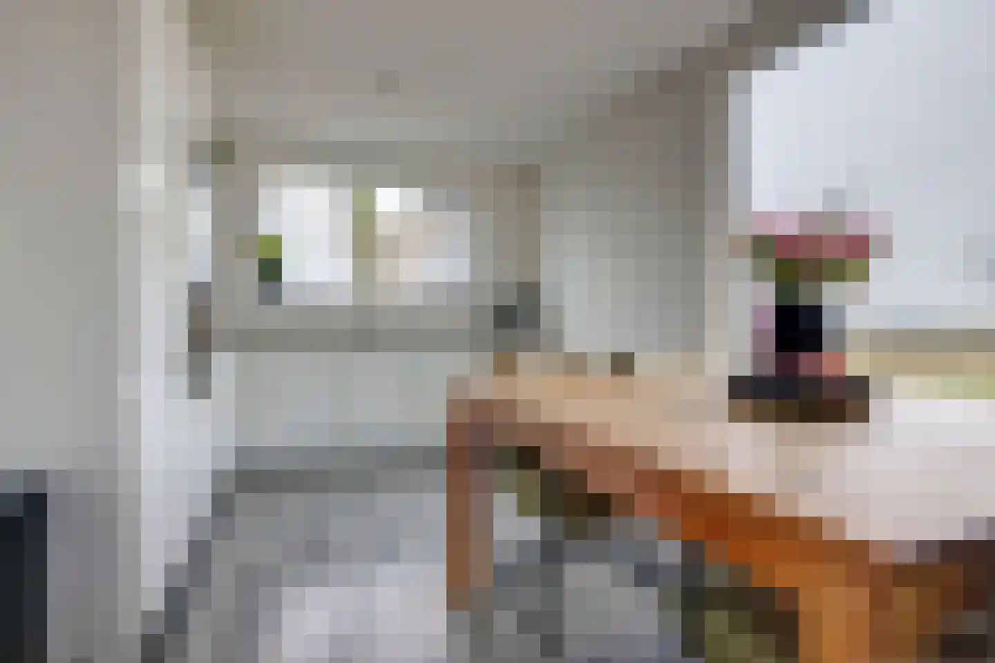 Oosthuizerweg 22 Noordbeemster thumbnail 15