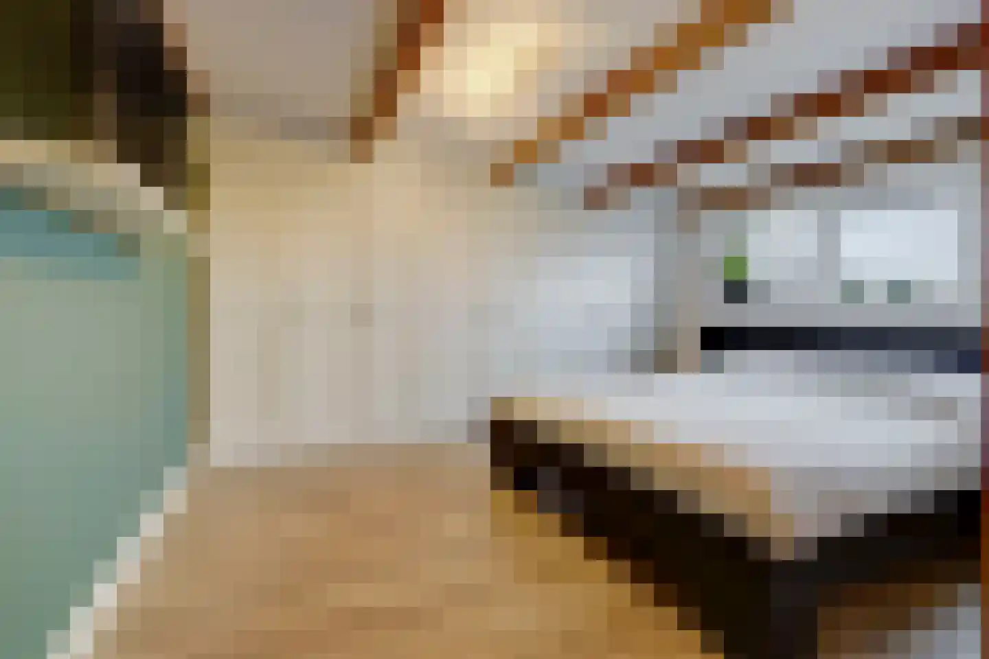 Oosthuizerweg 22 Noordbeemster thumbnail 25