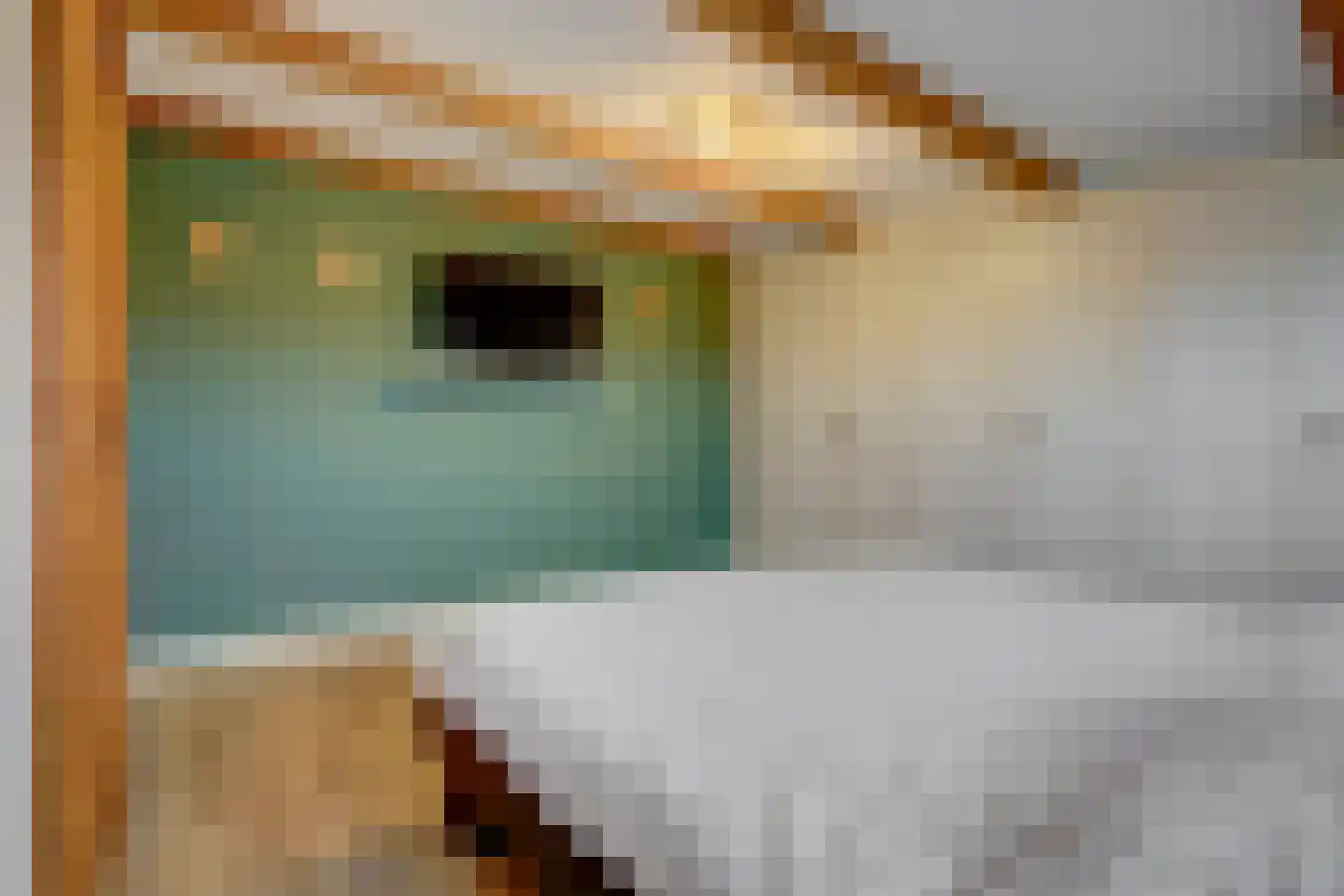 Oosthuizerweg 22 Noordbeemster thumbnail 30