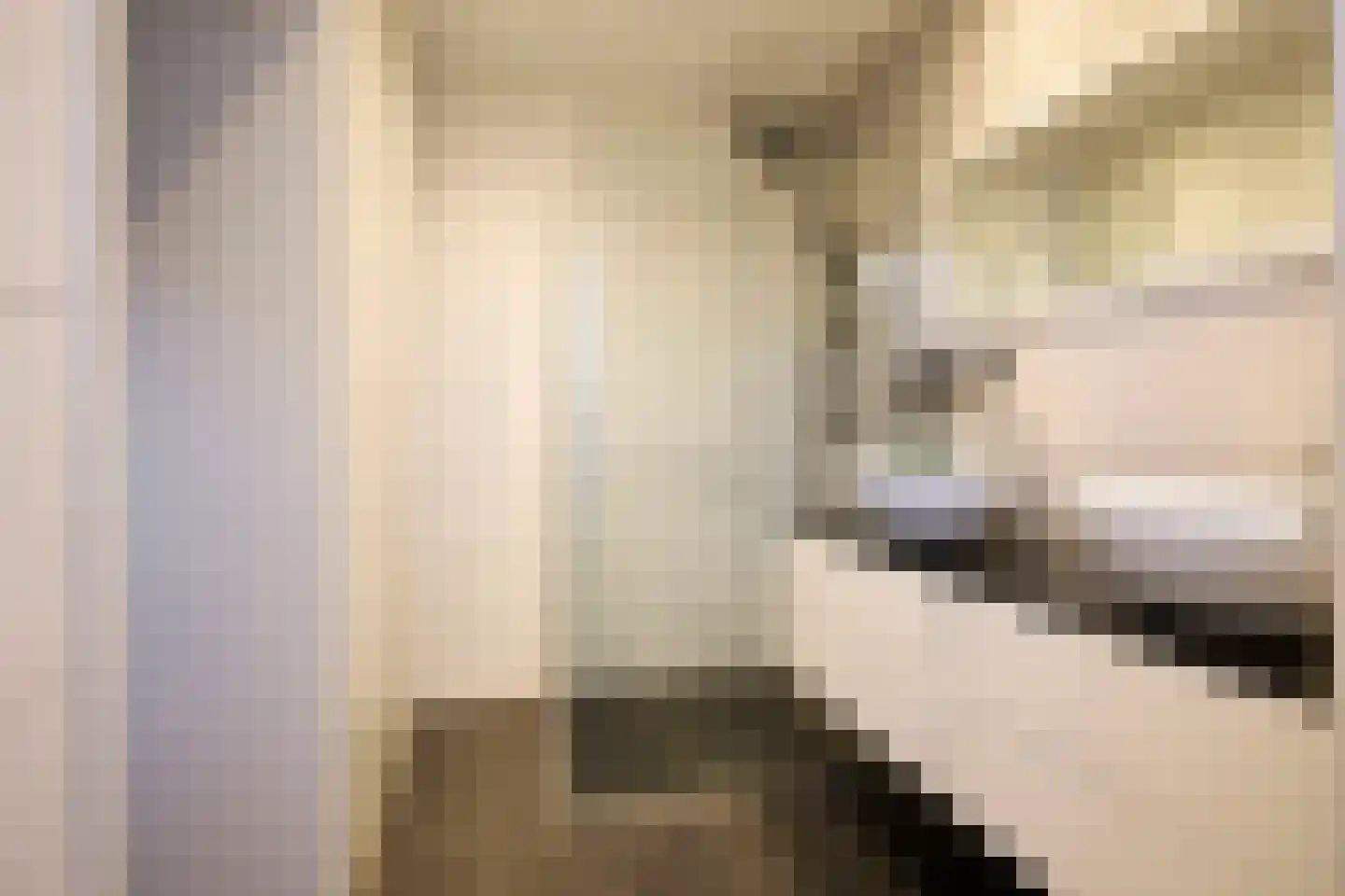 Oosthuizerweg 22 Noordbeemster thumbnail 32
