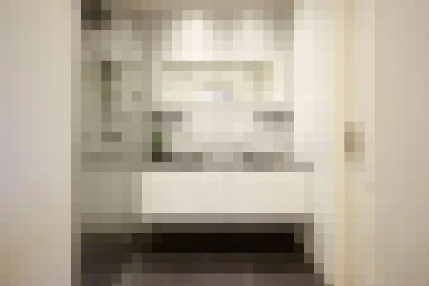 Oosthuizerweg 22 Noordbeemster thumbnail 33