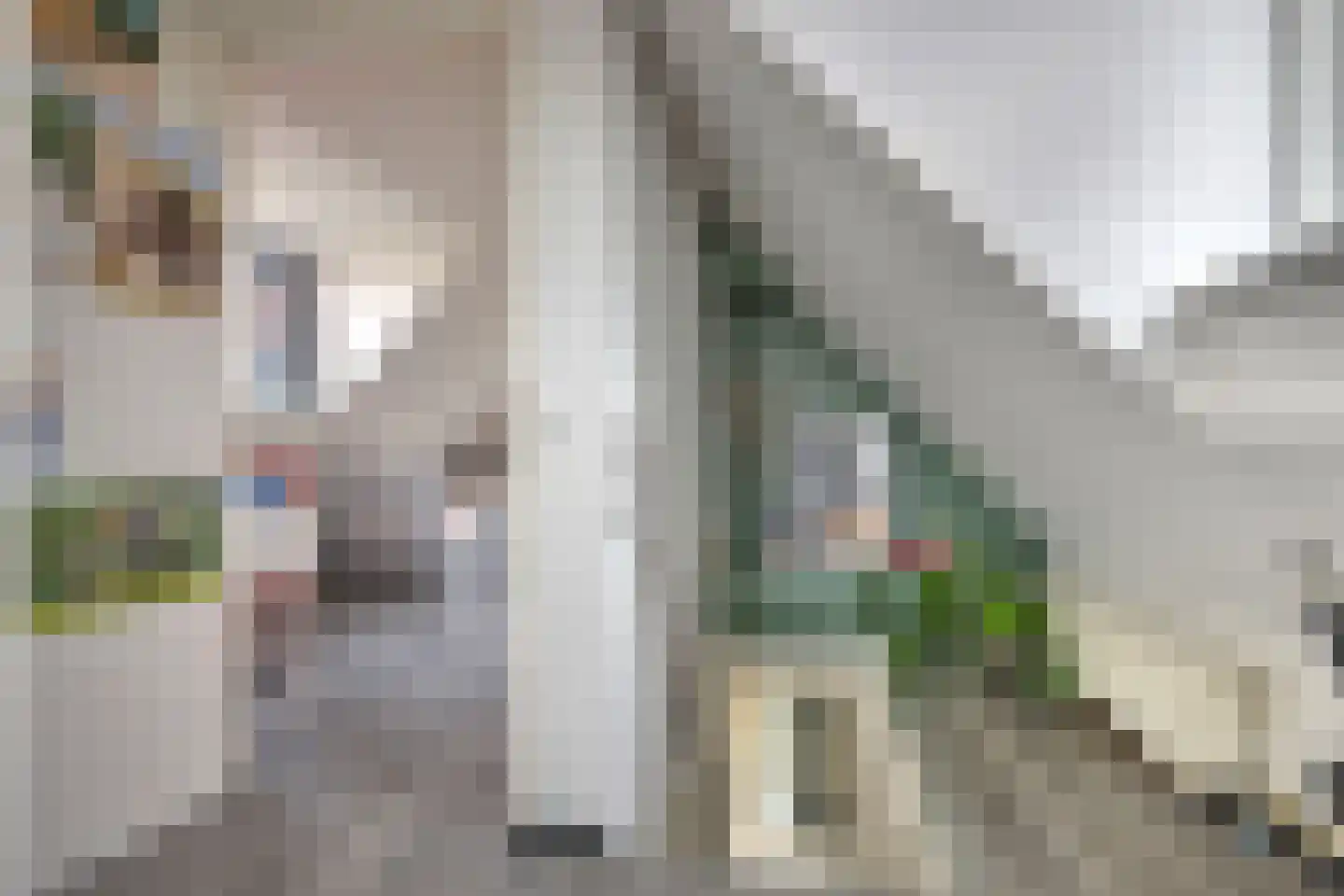 Oosthuizerweg 22 Noordbeemster thumbnail 37