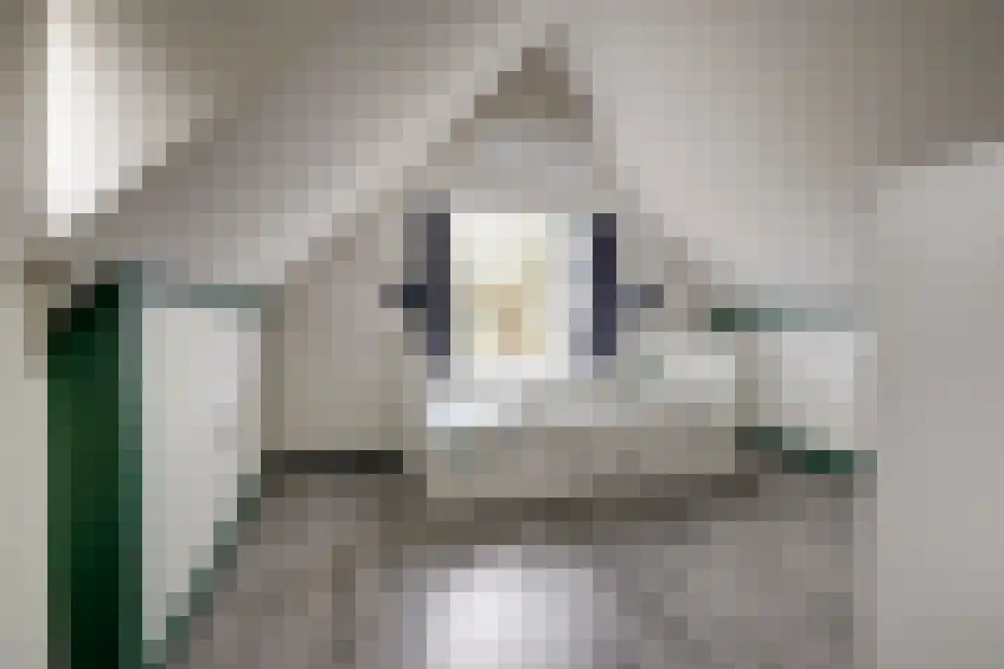Oosthuizerweg 22 Noordbeemster thumbnail 38