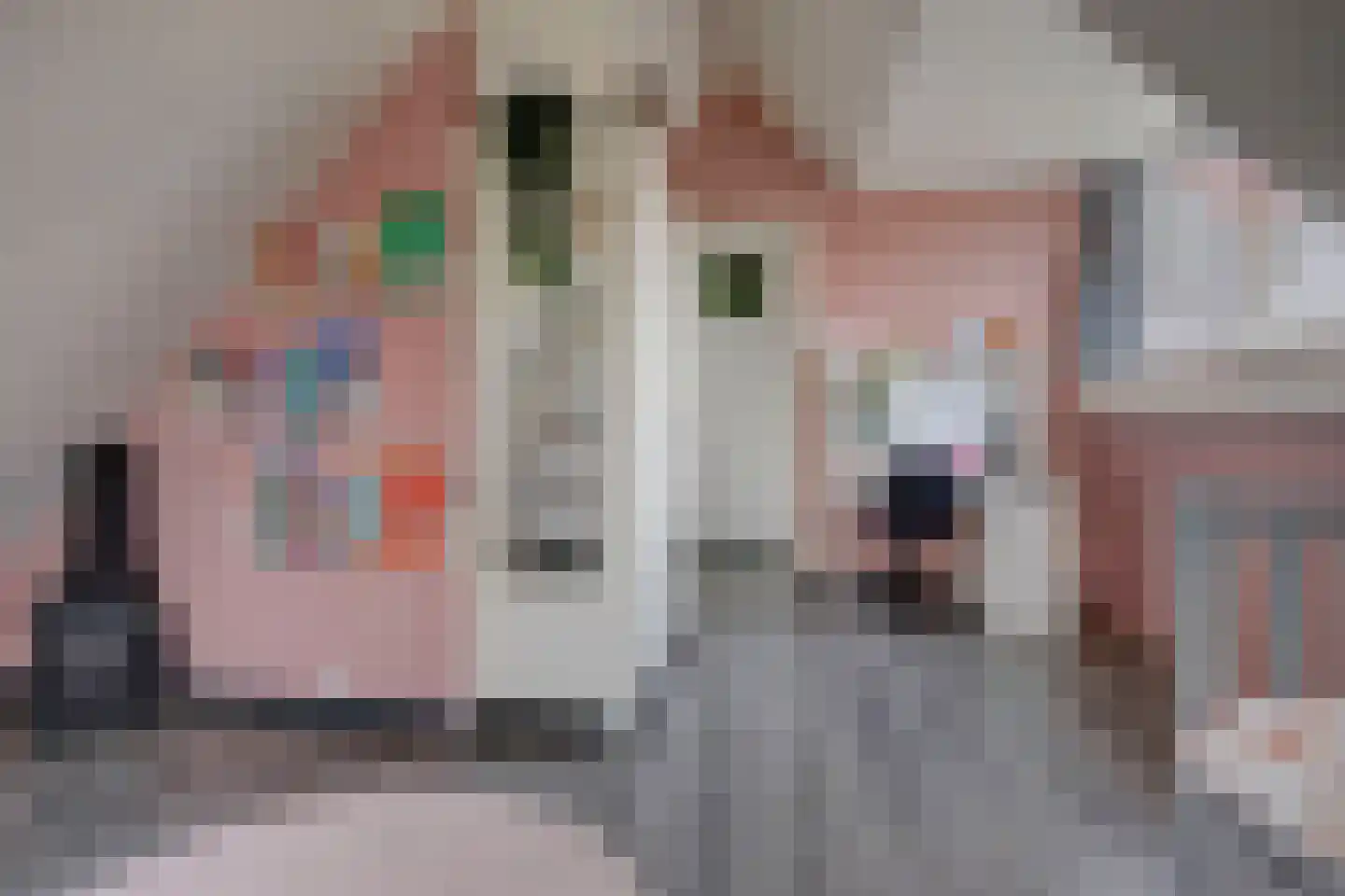 Oosthuizerweg 22 Noordbeemster thumbnail 44