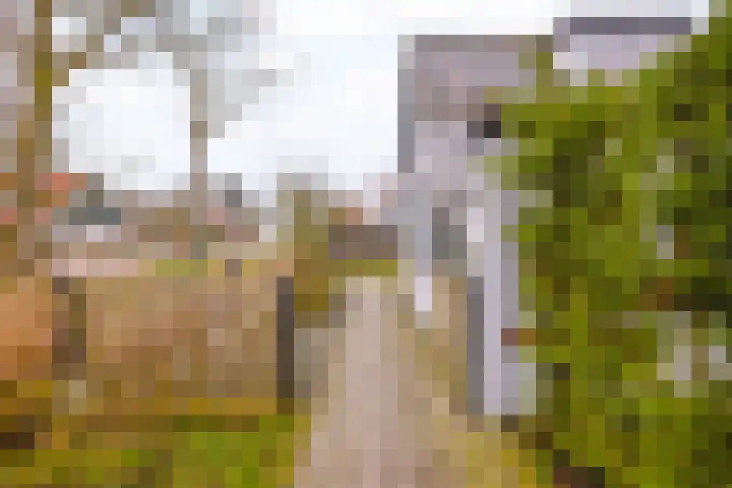 Oosthuizerweg 22 Noordbeemster thumbnail 60