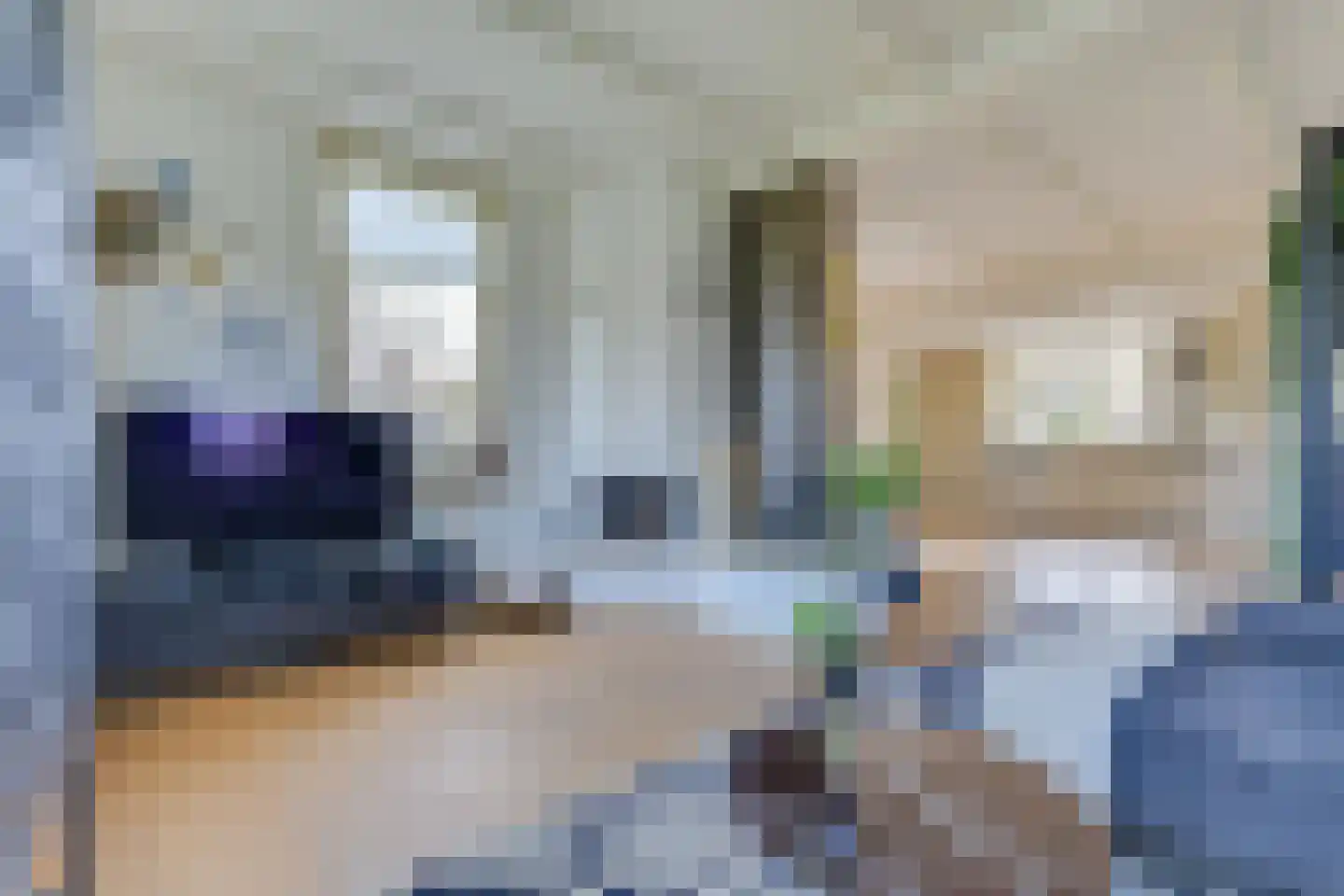 Oosthuizerweg 31 Noordbeemster thumbnail 12