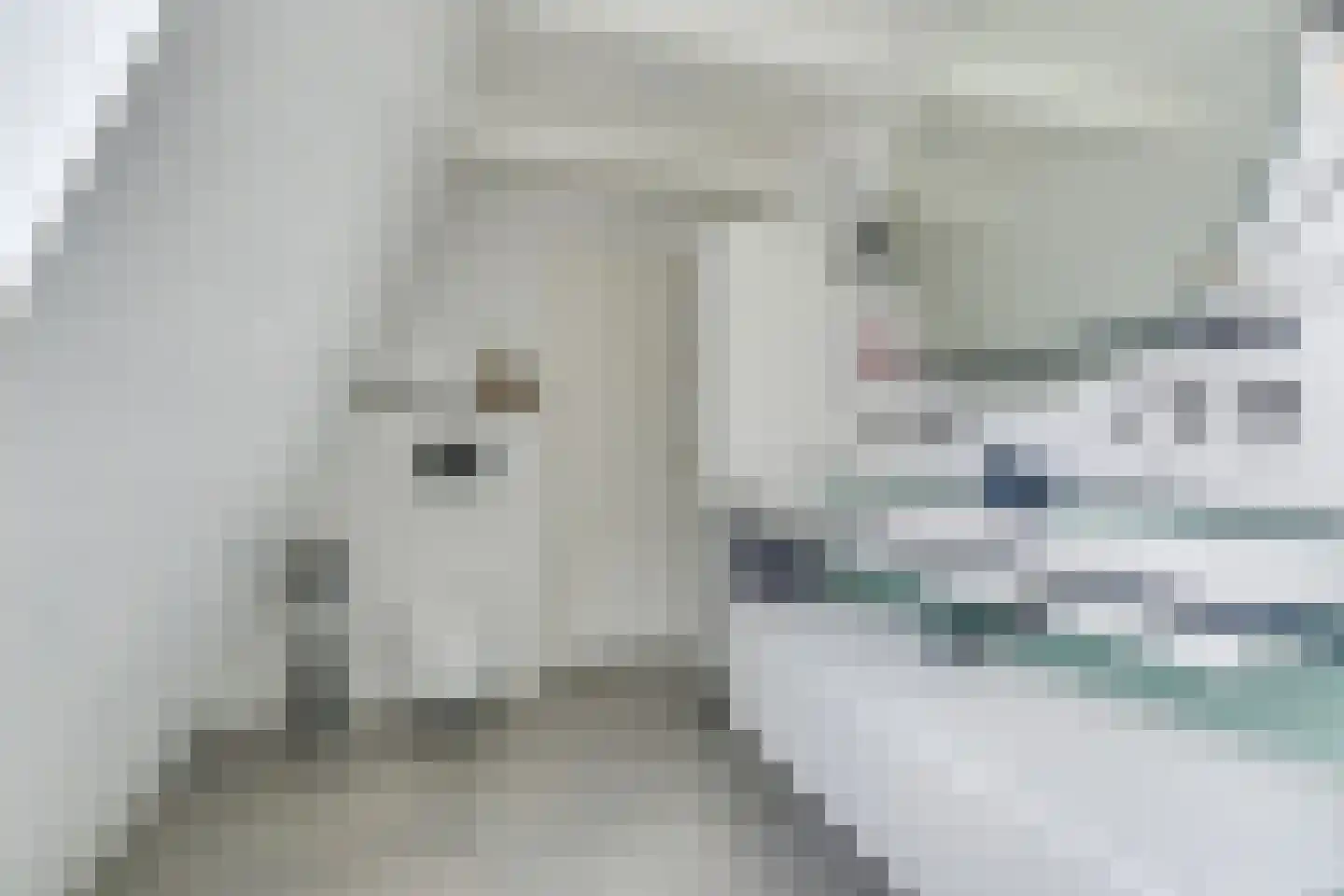 Oosthuizerweg 31 Noordbeemster thumbnail 25