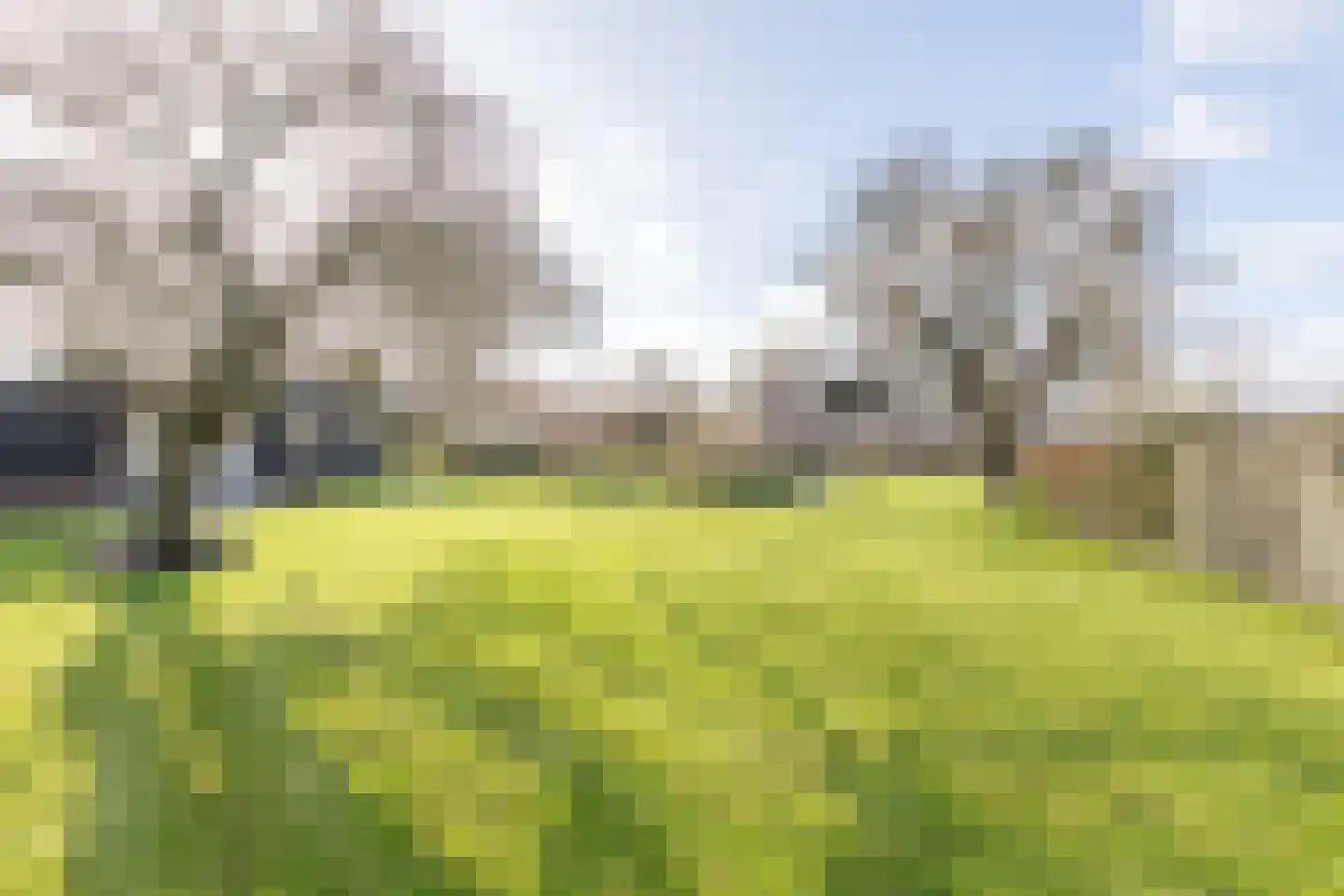 Oosthuizerweg 31 Noordbeemster thumbnail 37