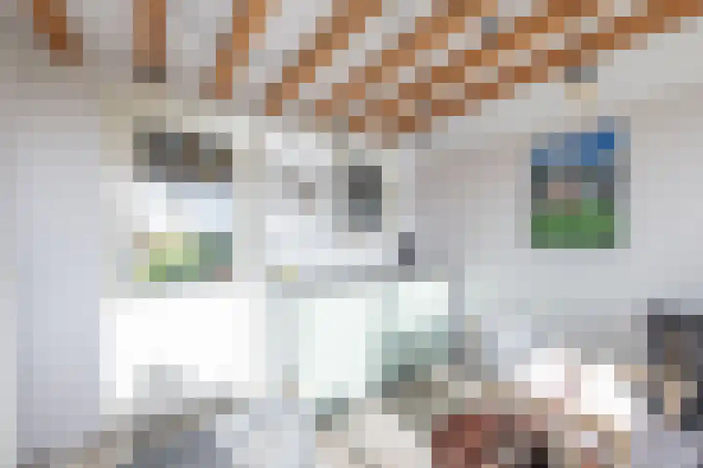 Oosthuizerweg 31 Noordbeemster thumbnail 41