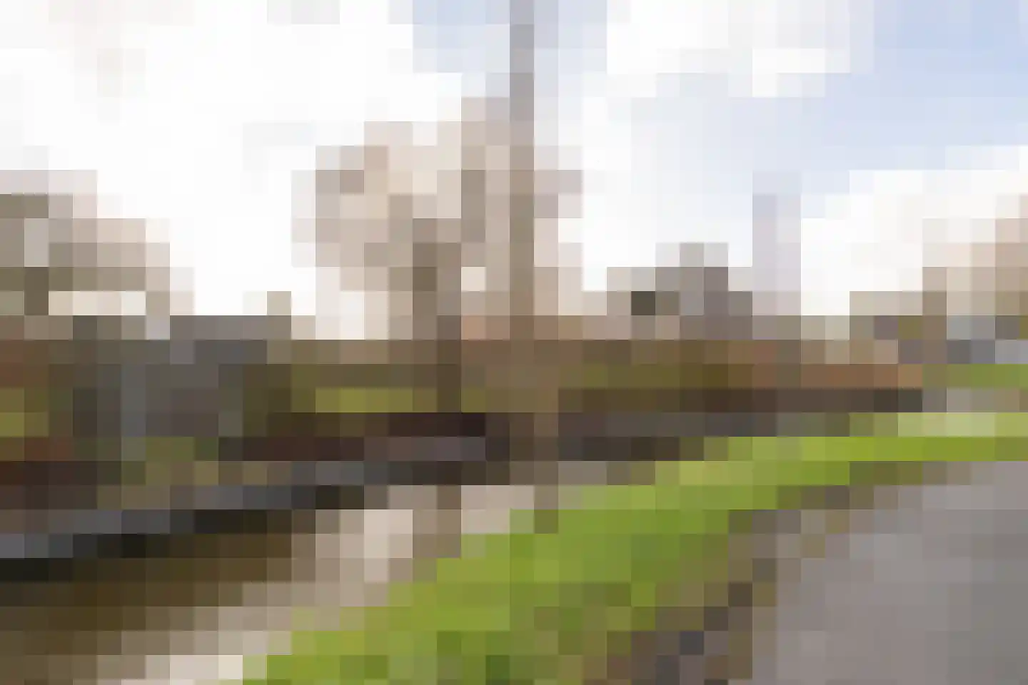 Oosthuizerweg 31 Noordbeemster thumbnail 51