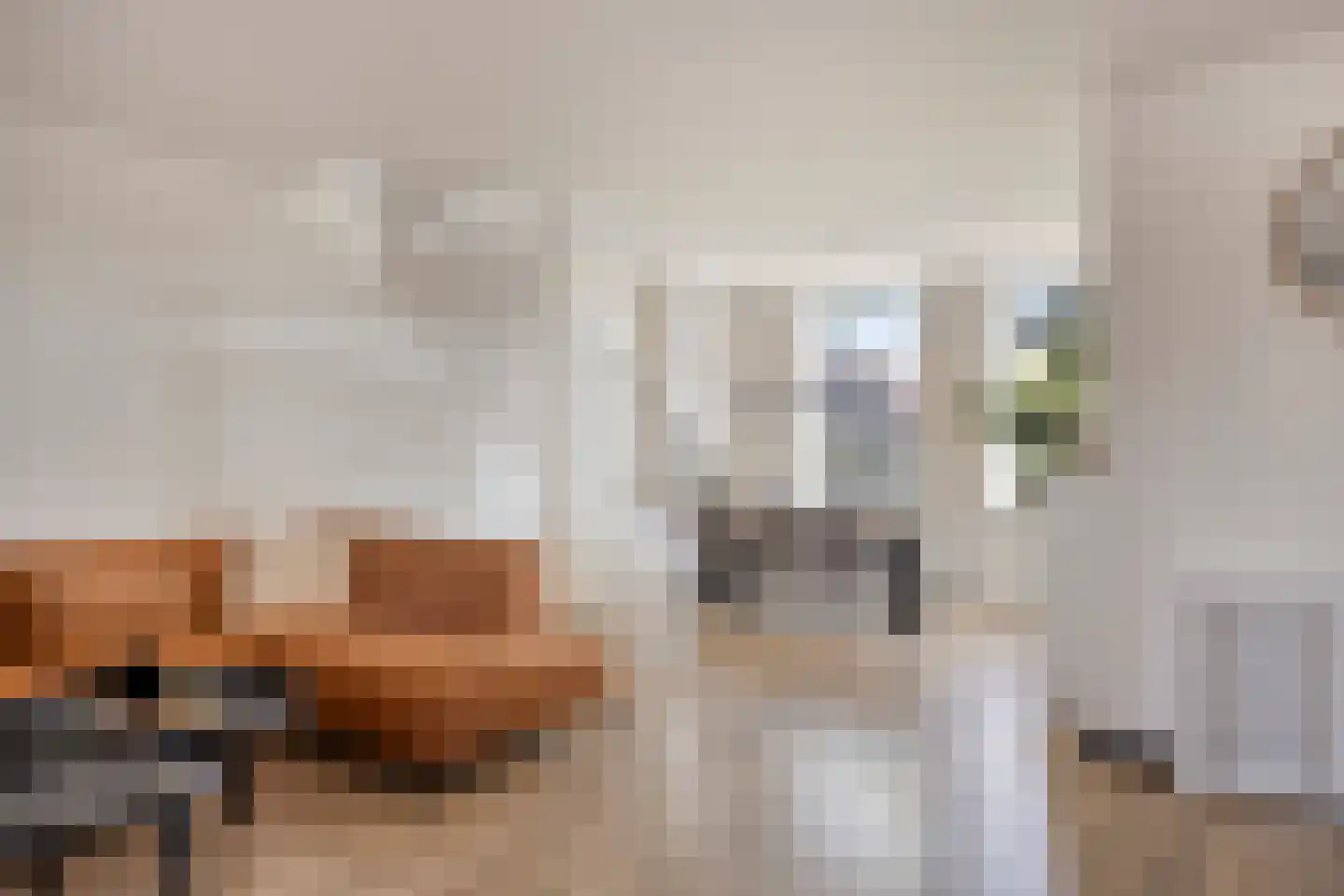 Oosthuizerweg 39 Noordbeemster thumbnail 12