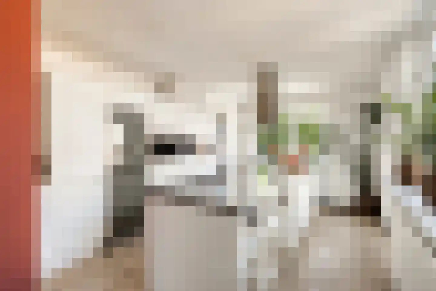 Oosthuizerweg 39 Noordbeemster thumbnail 17