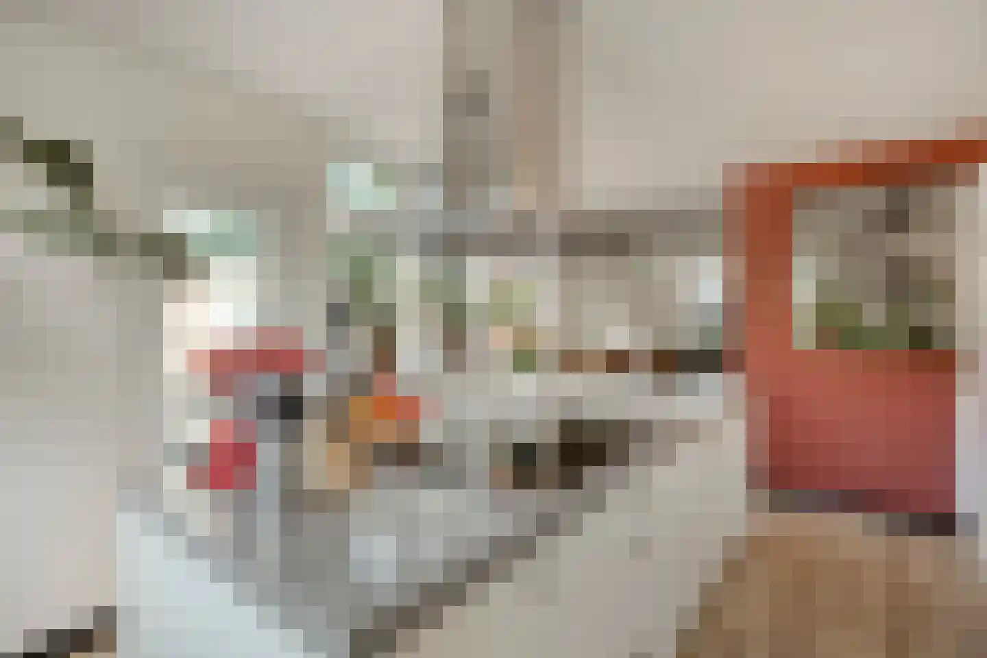 Oosthuizerweg 39 Noordbeemster thumbnail 18