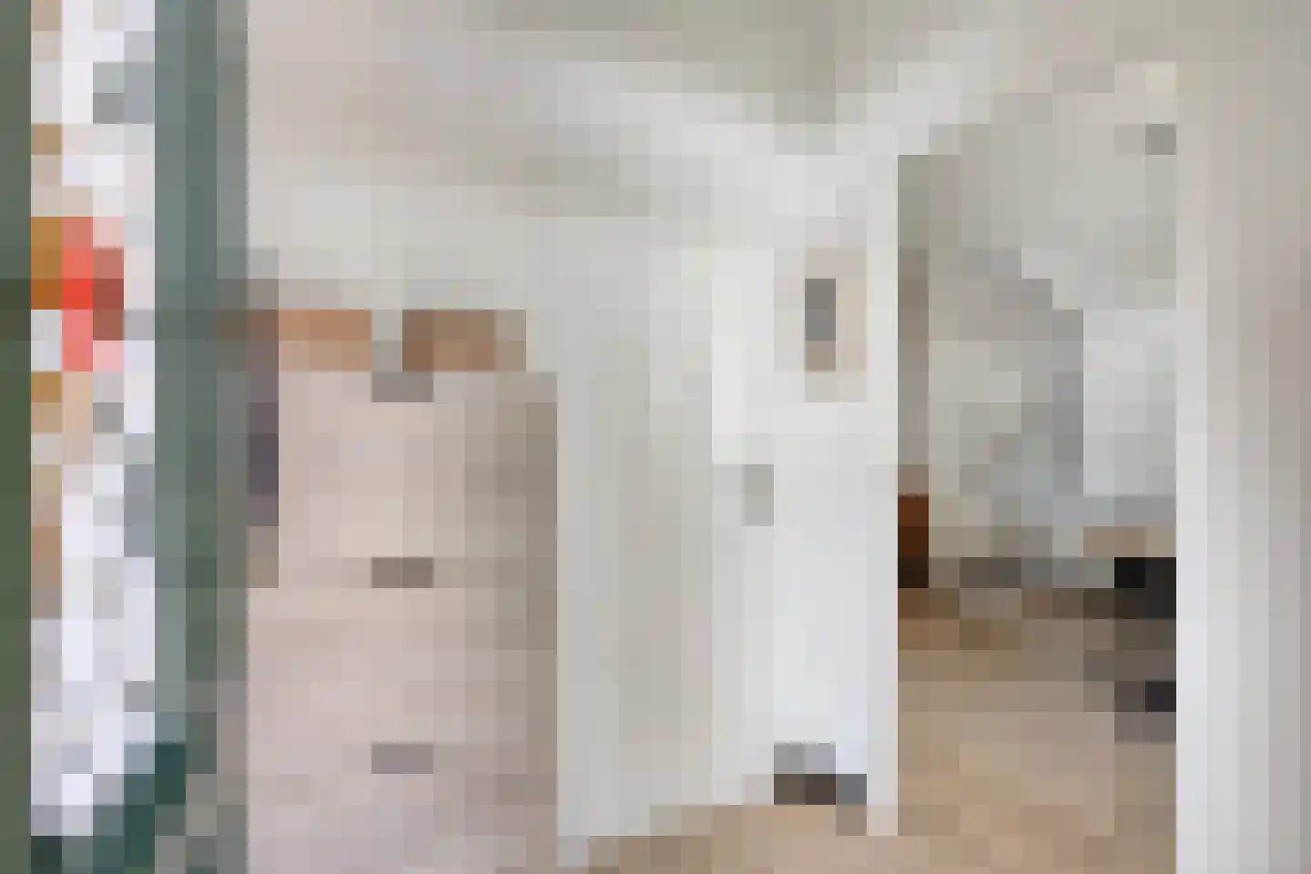 Oosthuizerweg 39 Noordbeemster thumbnail 21