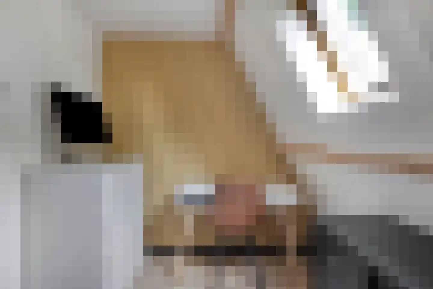 Oosthuizerweg 39 Noordbeemster thumbnail 35