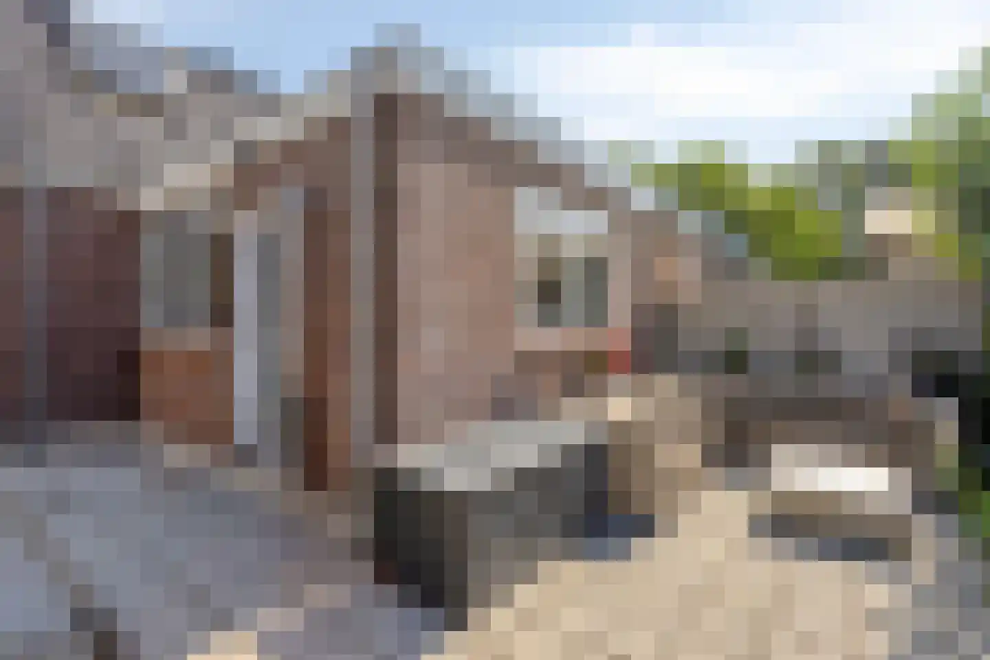 Oosthuizerweg 39 Noordbeemster thumbnail 40