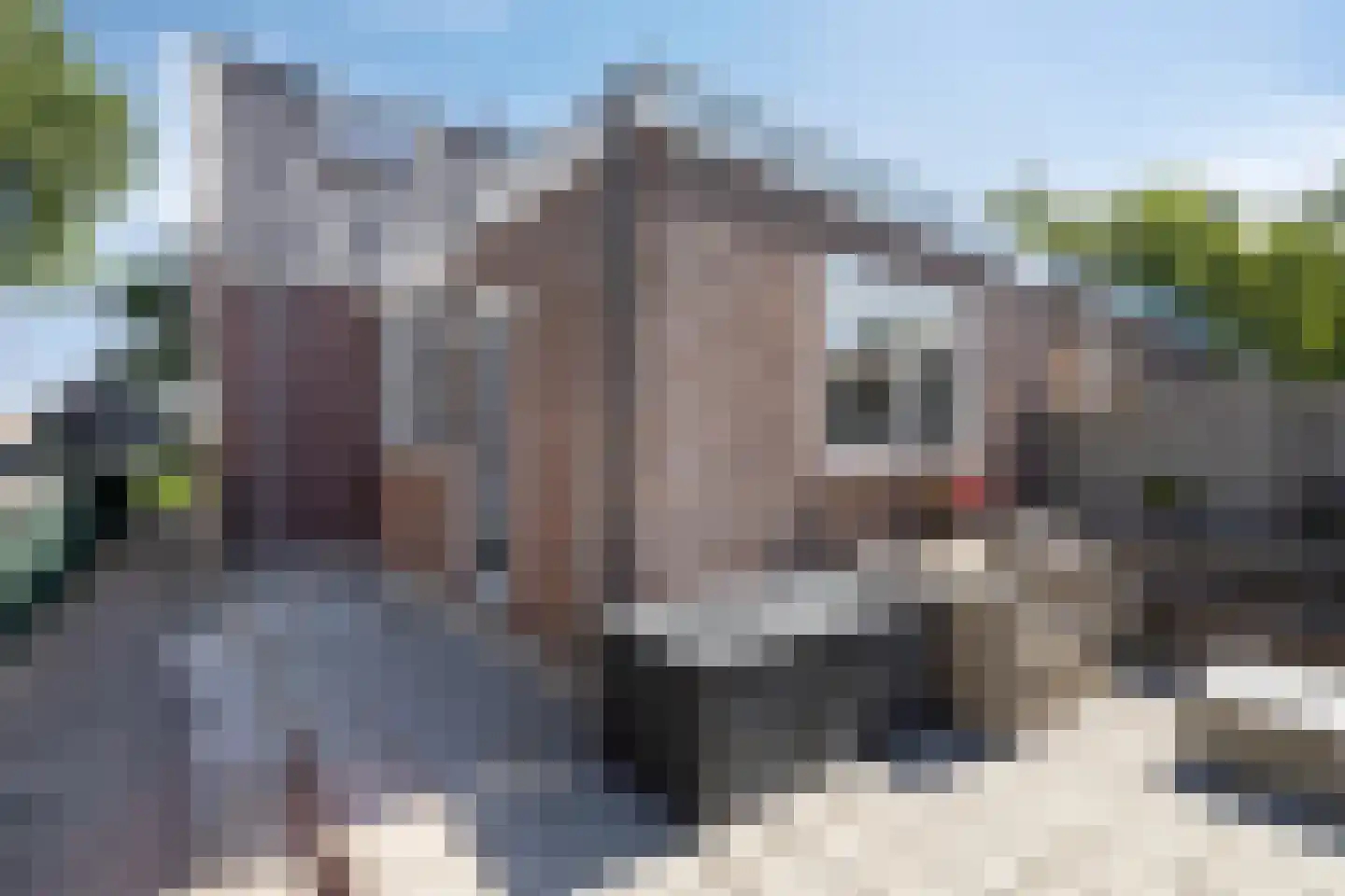 Oosthuizerweg 39 Noordbeemster thumbnail 41