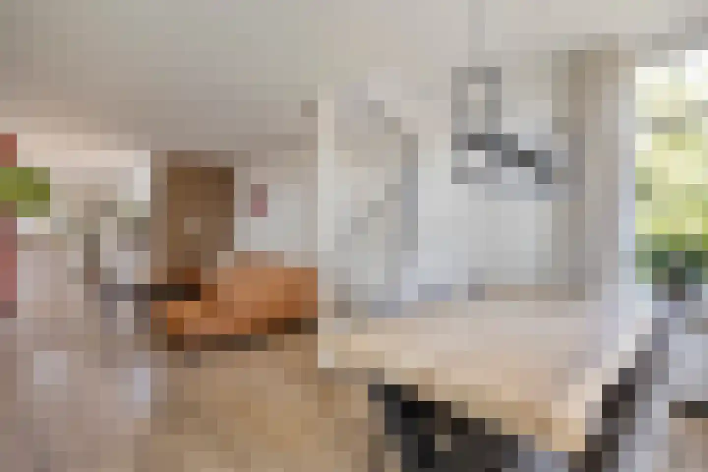 Oosthuizerweg 39 Noordbeemster thumbnail 9
