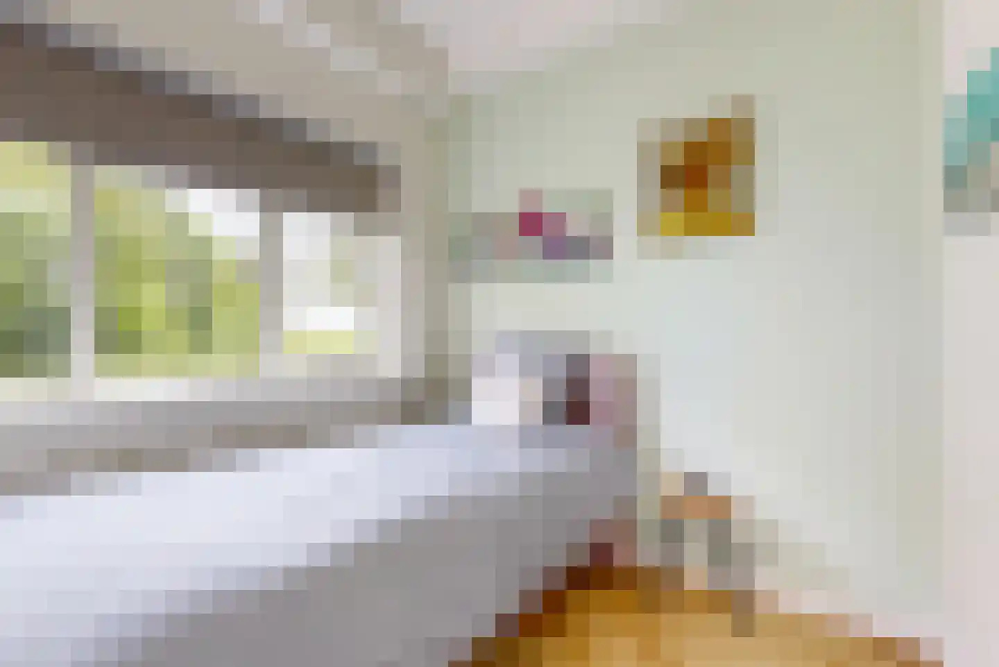 Oosthuizerweg 40 Noordbeemster thumbnail 15