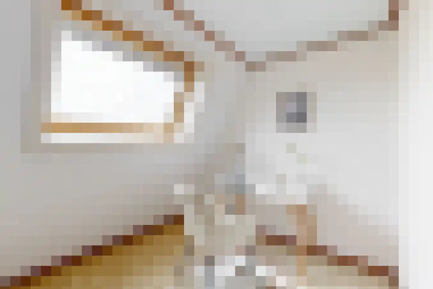 Oosthuizerweg 40 Noordbeemster thumbnail 23