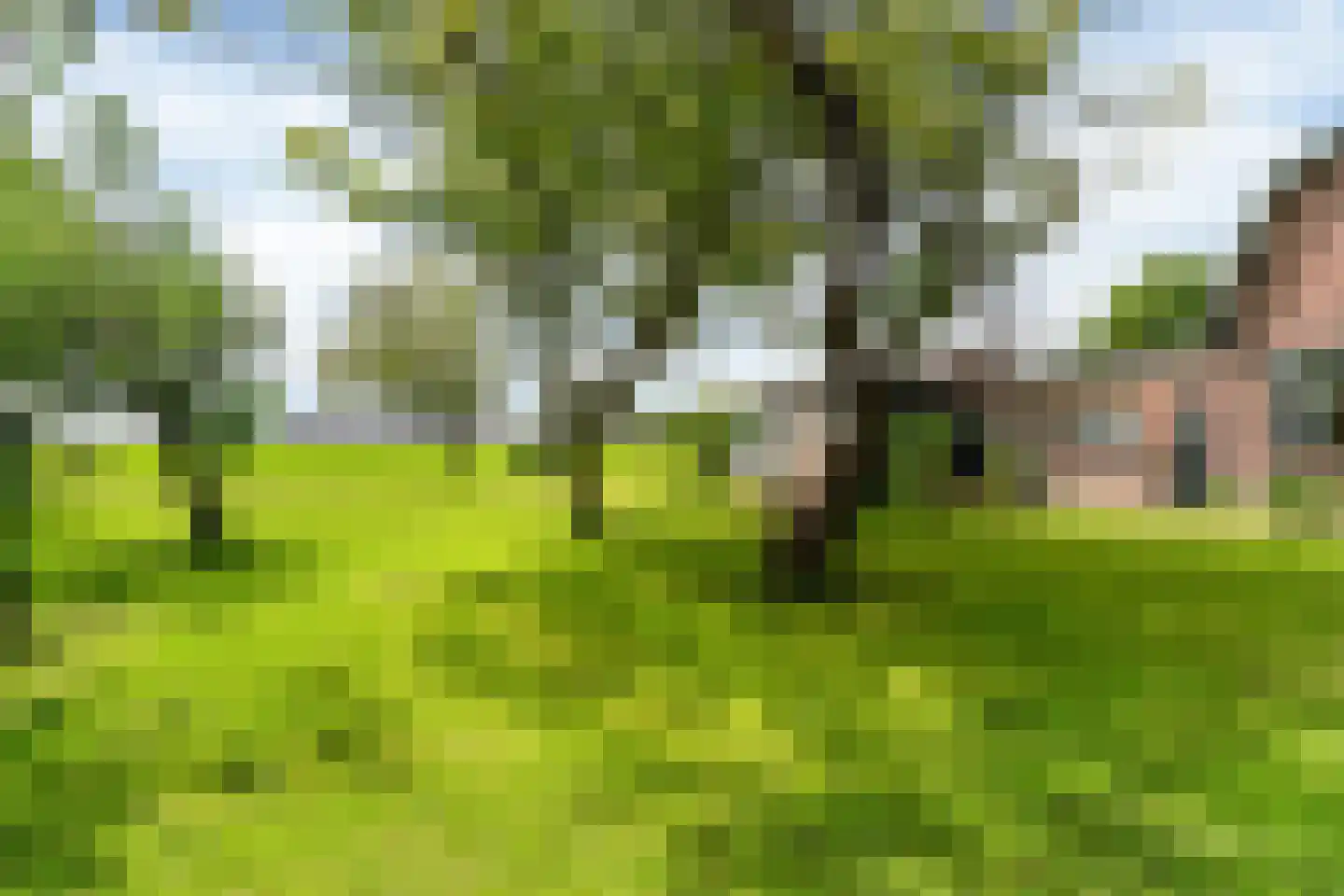 Oosthuizerweg 40 Noordbeemster thumbnail 29