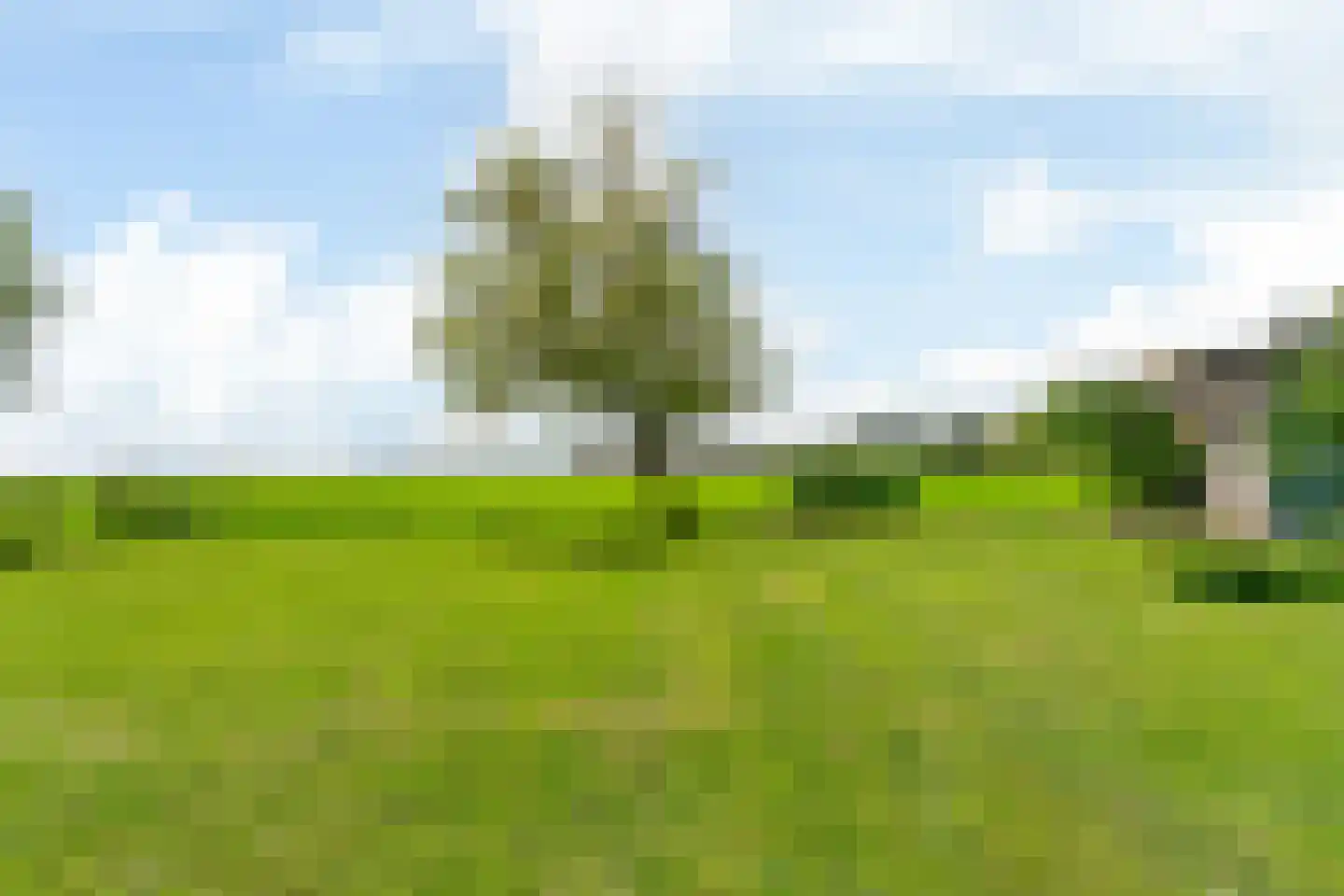 Oosthuizerweg 40 Noordbeemster thumbnail 33