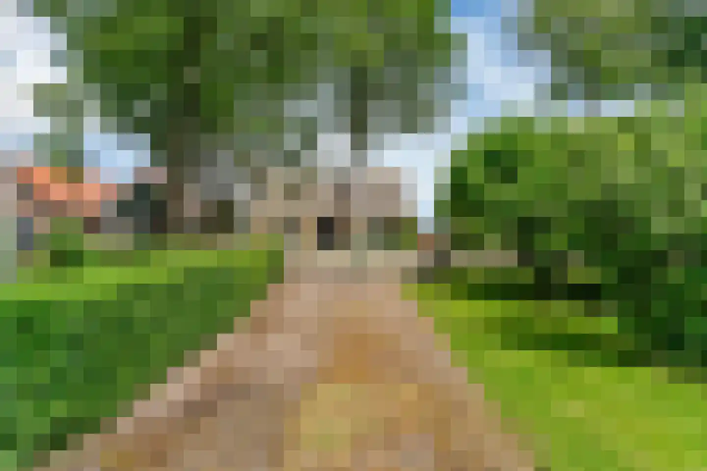 Oosthuizerweg 40 Noordbeemster thumbnail 35