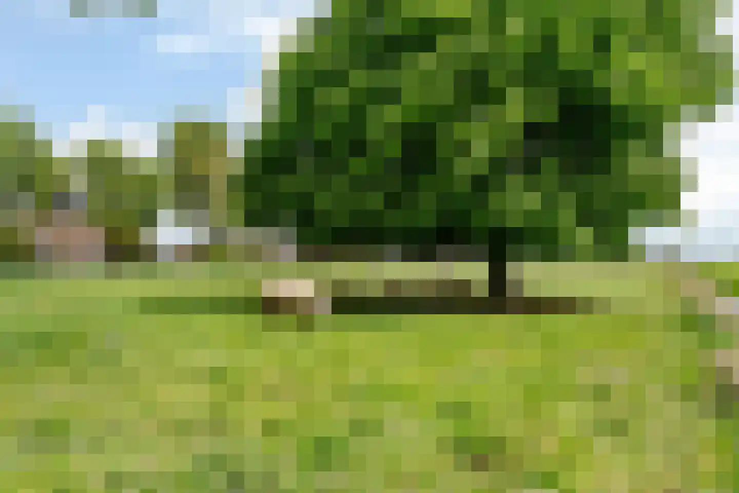 Oosthuizerweg 40 Noordbeemster thumbnail 38