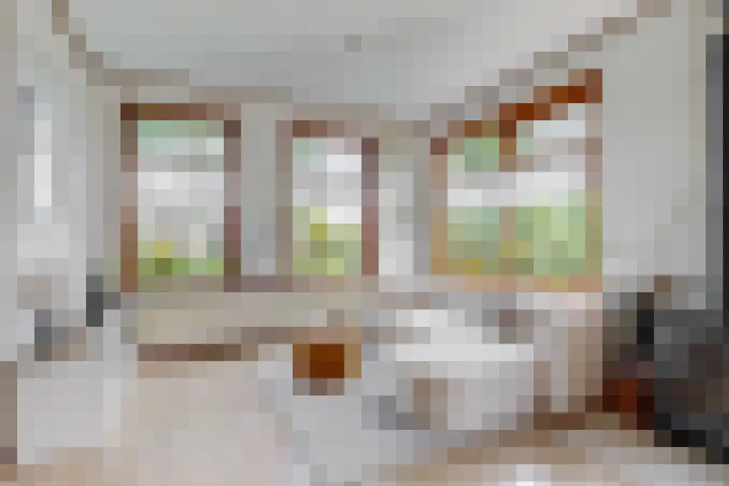 Oosthuizerweg 40 Noordbeemster thumbnail 5