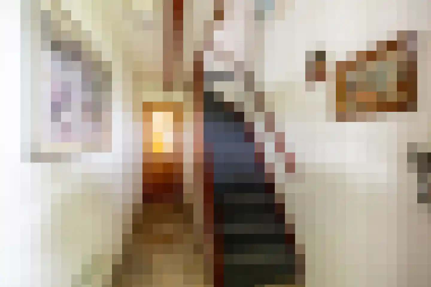 Oosthuizerweg 45 Noordbeemster thumbnail 19