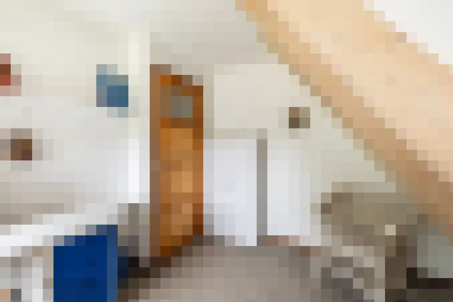 Oosthuizerweg 45 Noordbeemster thumbnail 26