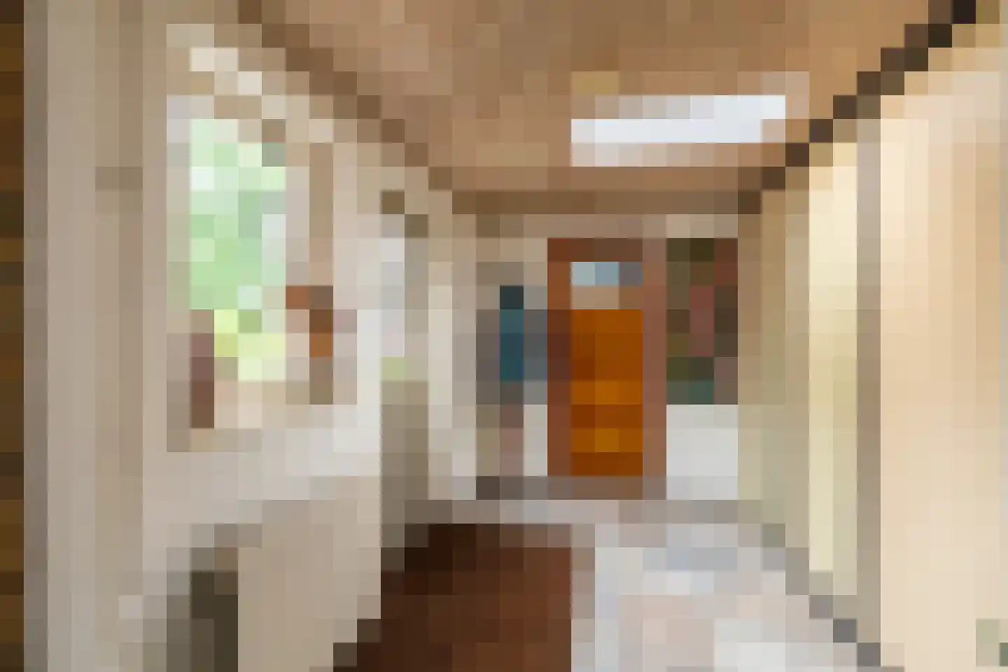 Oosthuizerweg 45 Noordbeemster thumbnail 33
