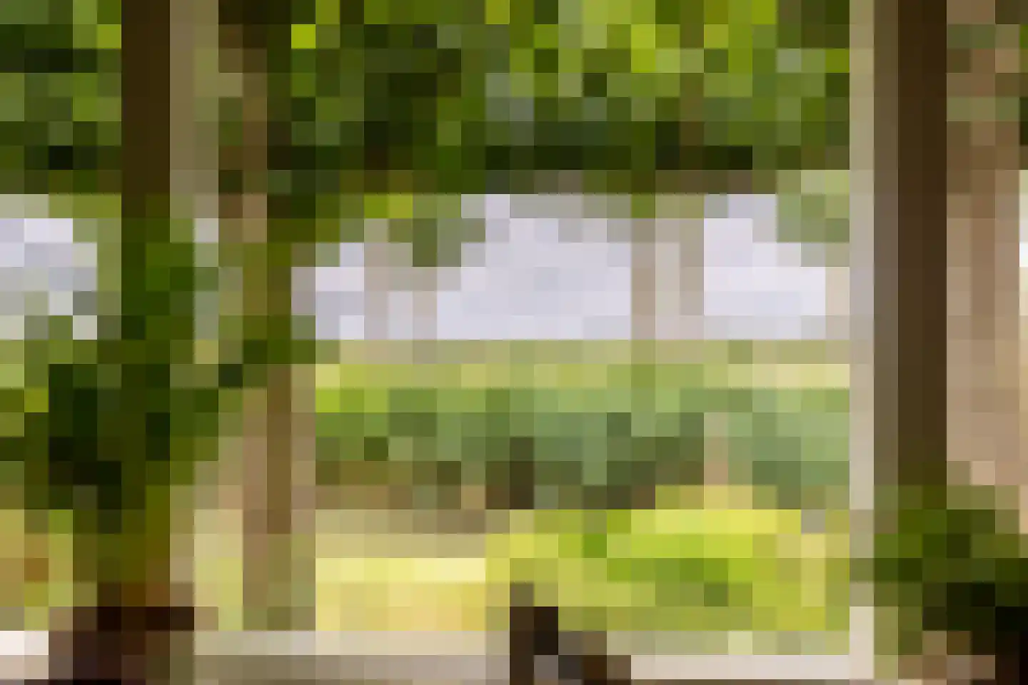 Oosthuizerweg 45 Noordbeemster thumbnail 4