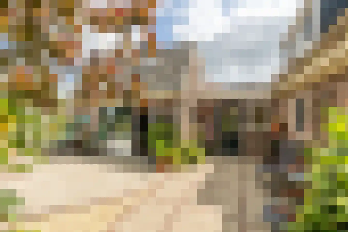 Oosthuizerweg 45 Noordbeemster thumbnail 40