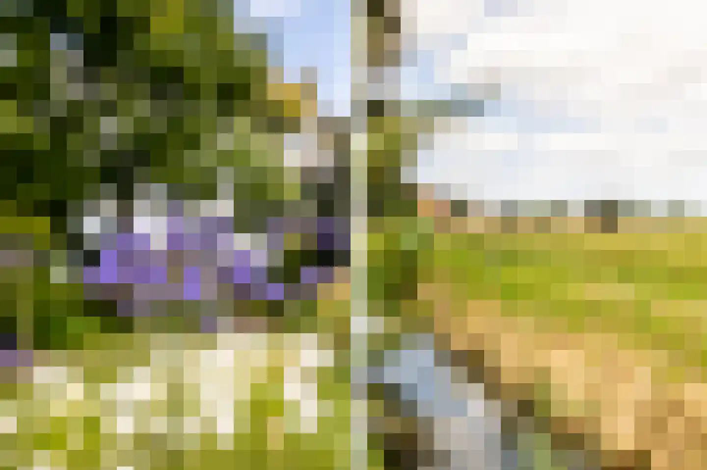 Oosthuizerweg 45 Noordbeemster thumbnail 43