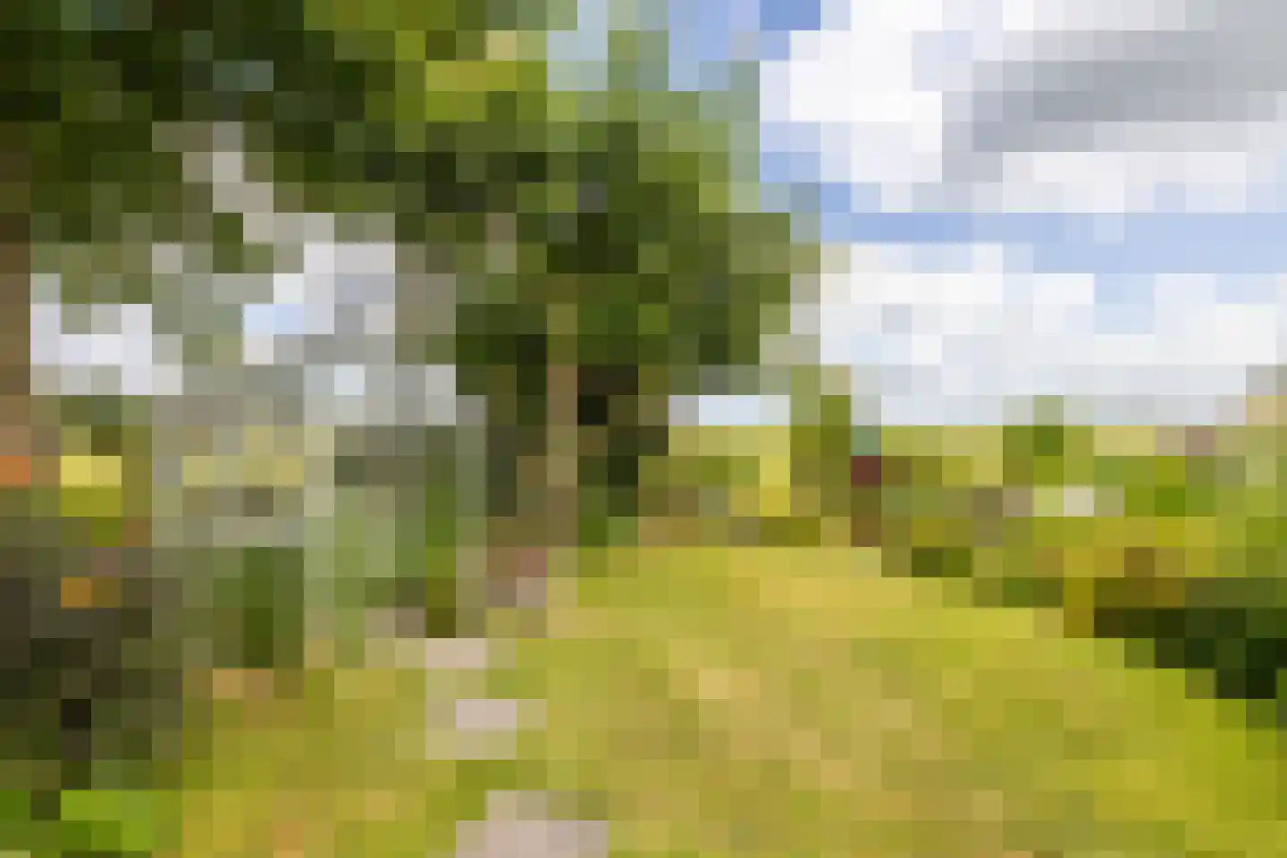 Oosthuizerweg 45 Noordbeemster thumbnail 45