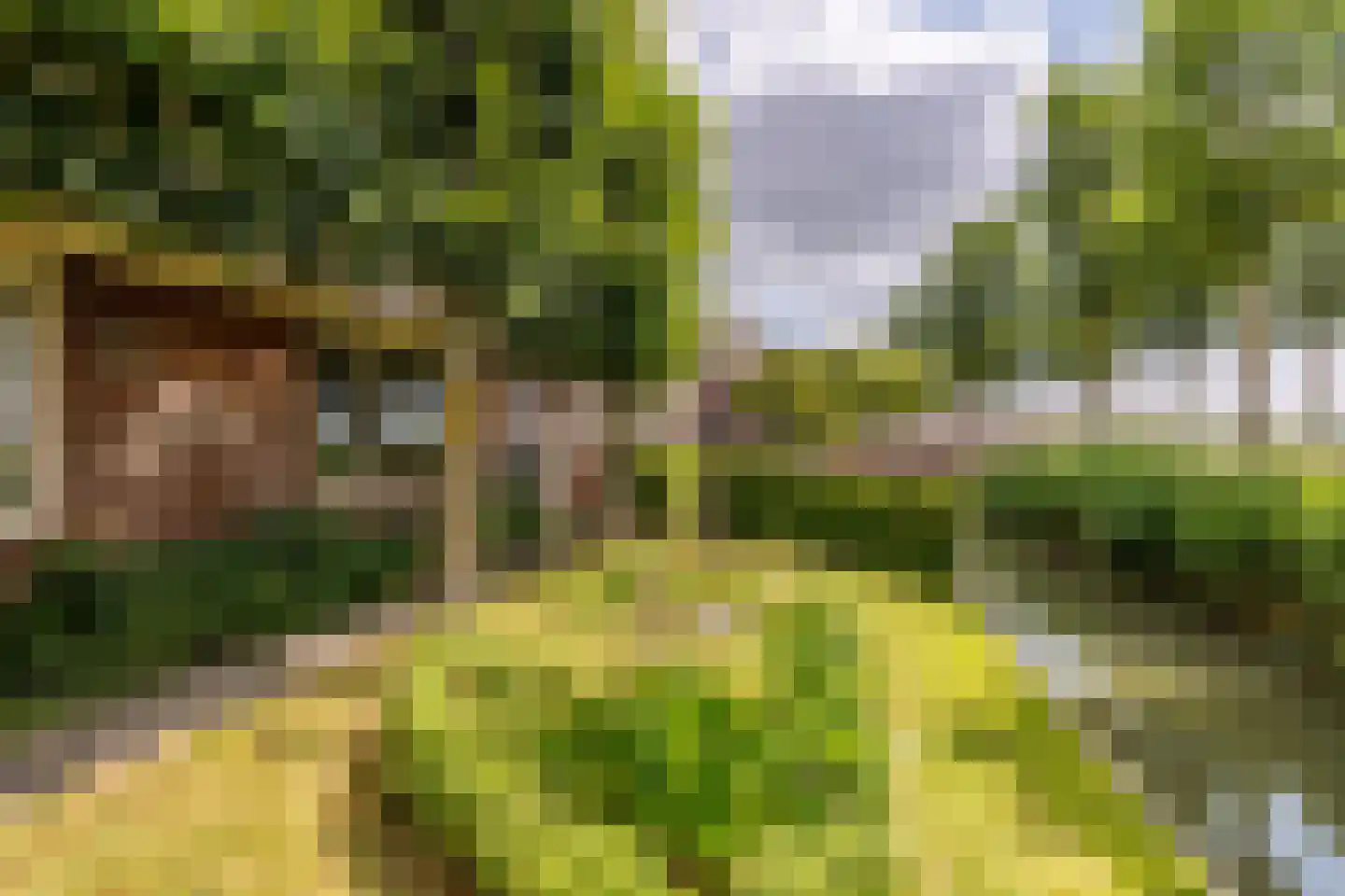 Oosthuizerweg 45 Noordbeemster thumbnail 51