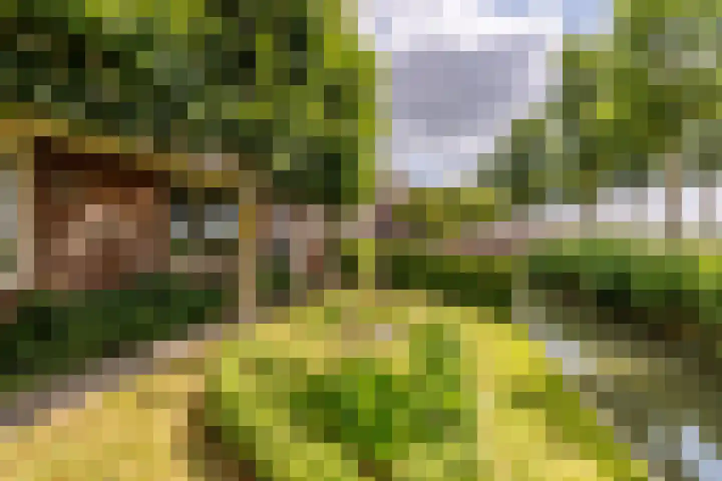 Oosthuizerweg 45 Noordbeemster thumbnail 52