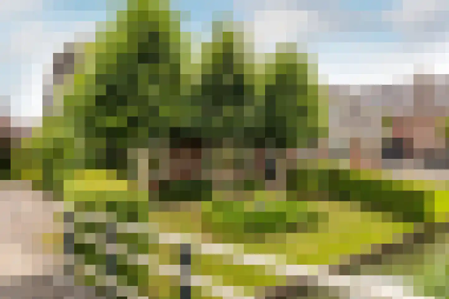 Oosthuizerweg 45 Noordbeemster thumbnail 52