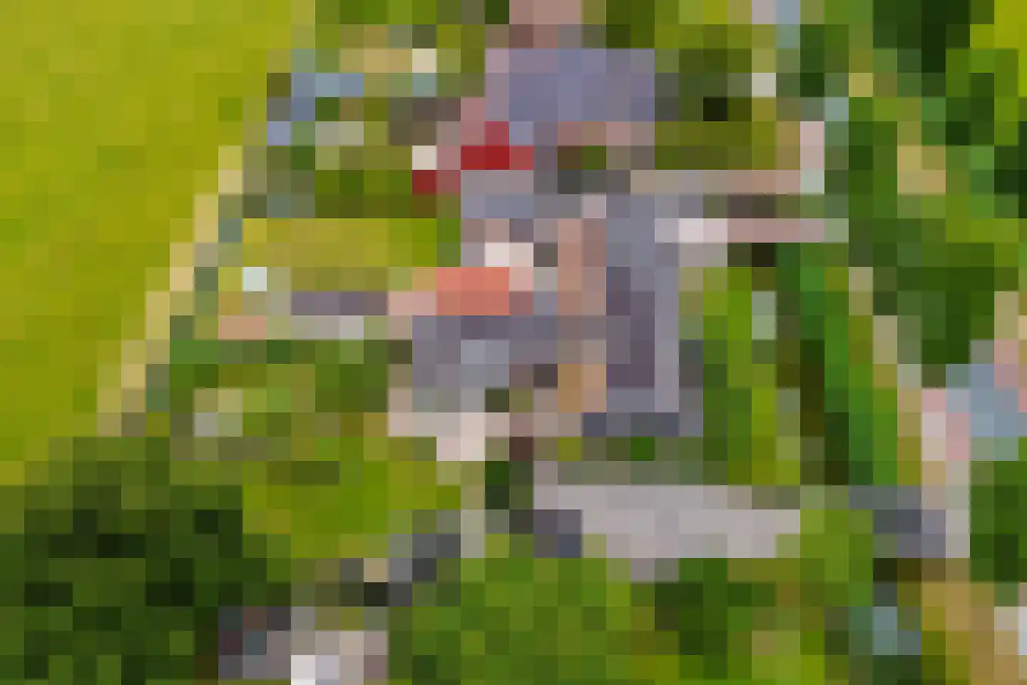 Oosthuizerweg 45 Noordbeemster thumbnail 55