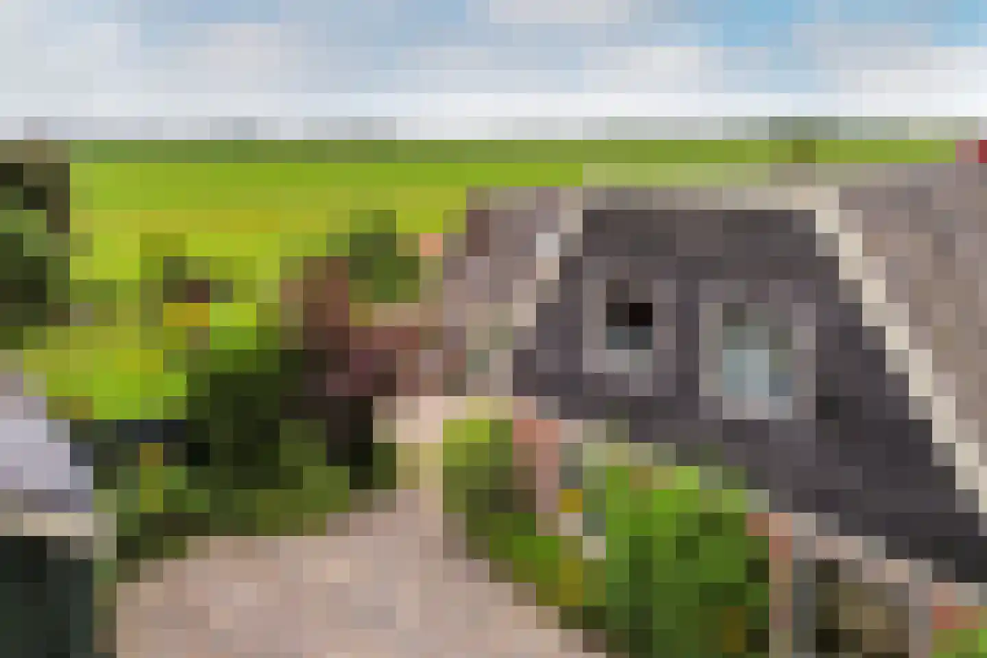 Oosthuizerweg 45 Noordbeemster thumbnail 6