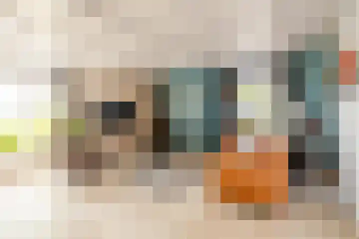 Oosthuizerweg 48 Noordbeemster thumbnail 11