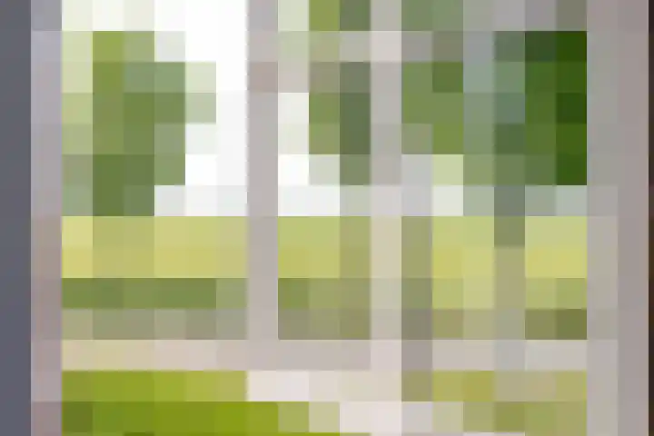 Oosthuizerweg 48 Noordbeemster thumbnail 25